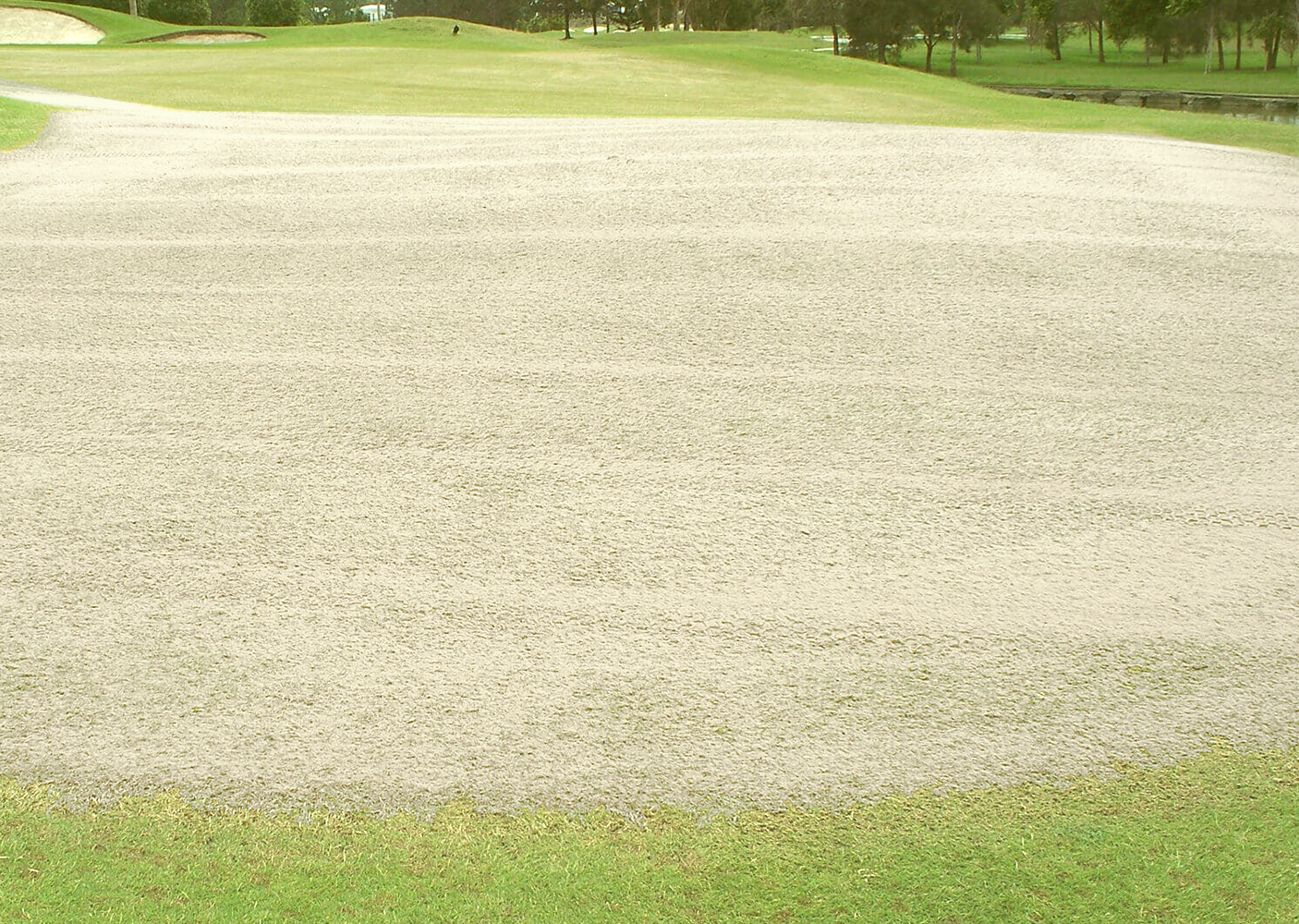 Piaskarka do trawnika