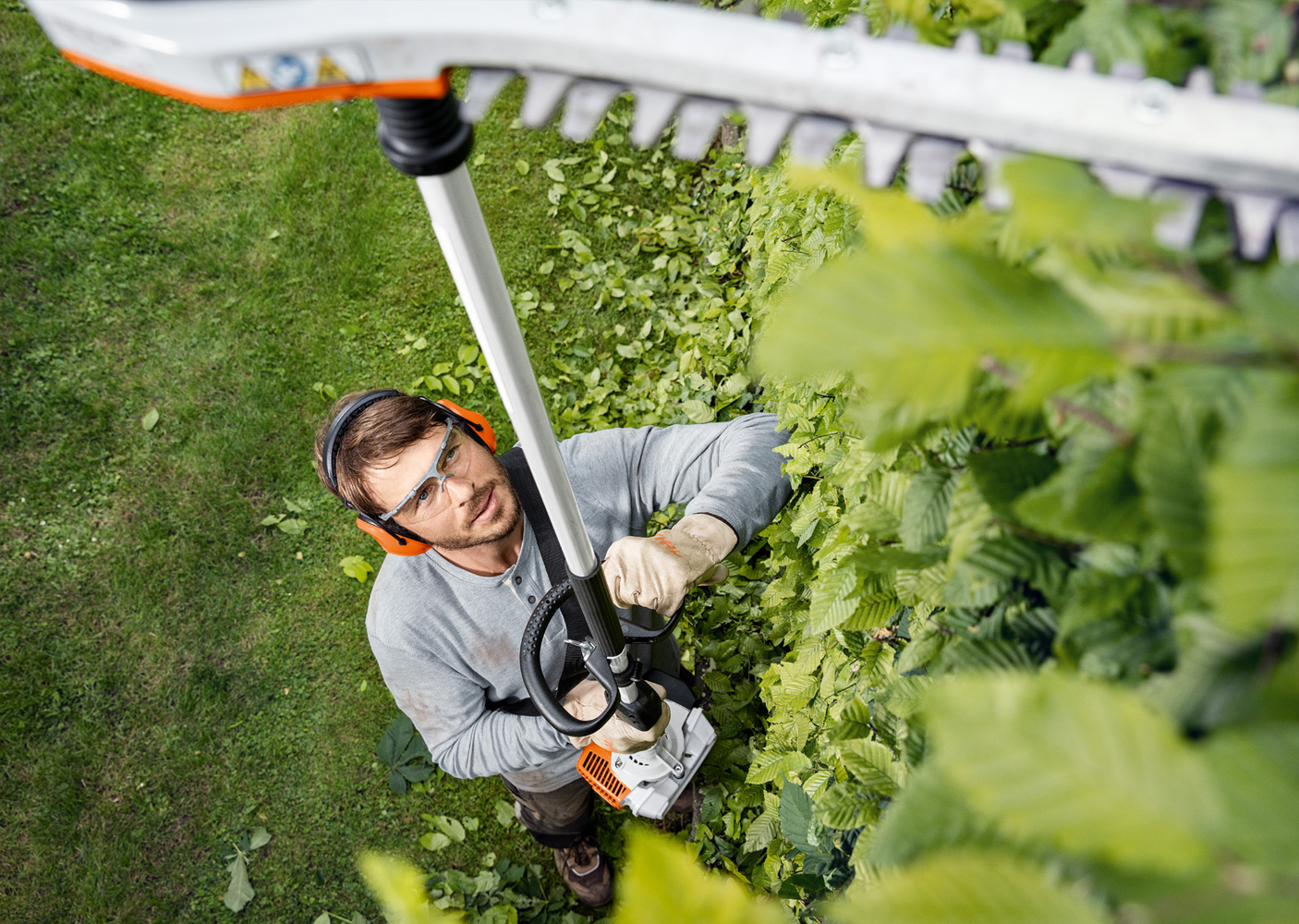 Cięcie wysokich żywopłotów